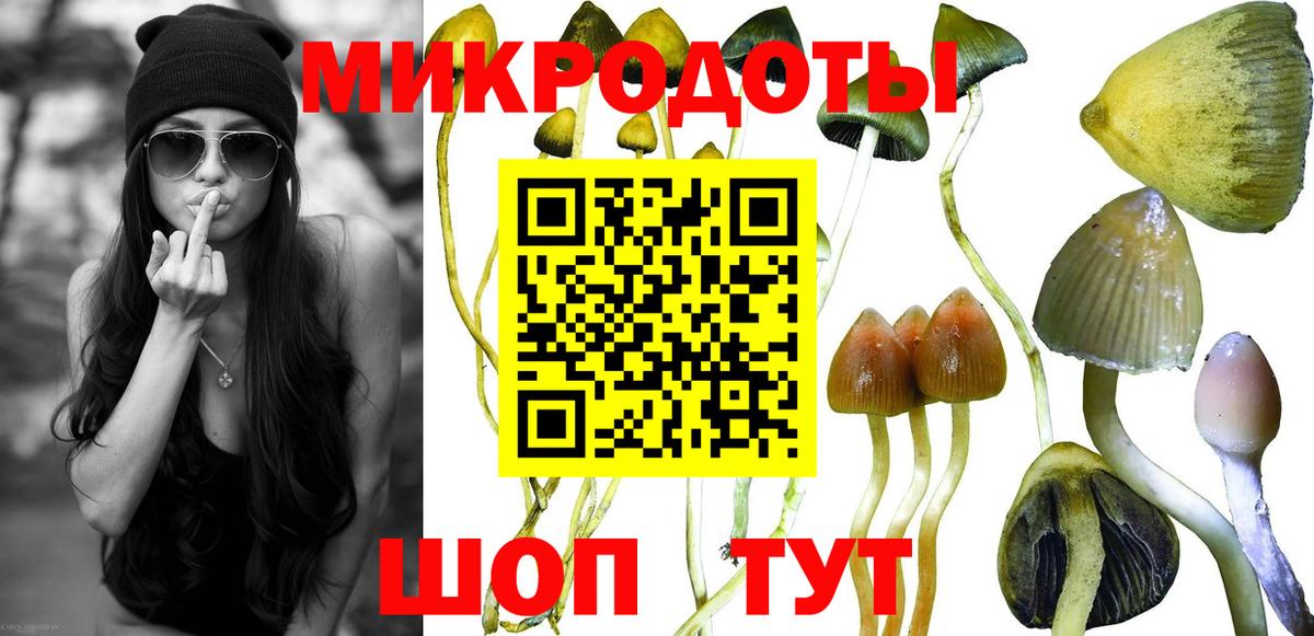 Великие Луки  Галлюциногенные грибы Cubensis  Вход с VPN 